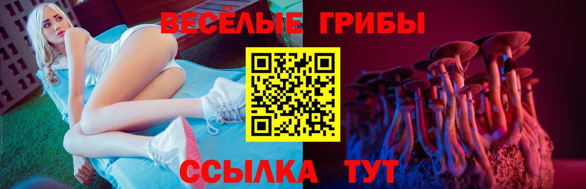 Псилоцибиновые грибы MAGIC MUSHROOMS  Вход с VPN  Заволжье  Псилоцибиновые грибы мицелий 